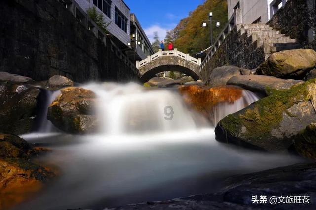 廉颇变异,直接从辅助晋升对抗路强者?